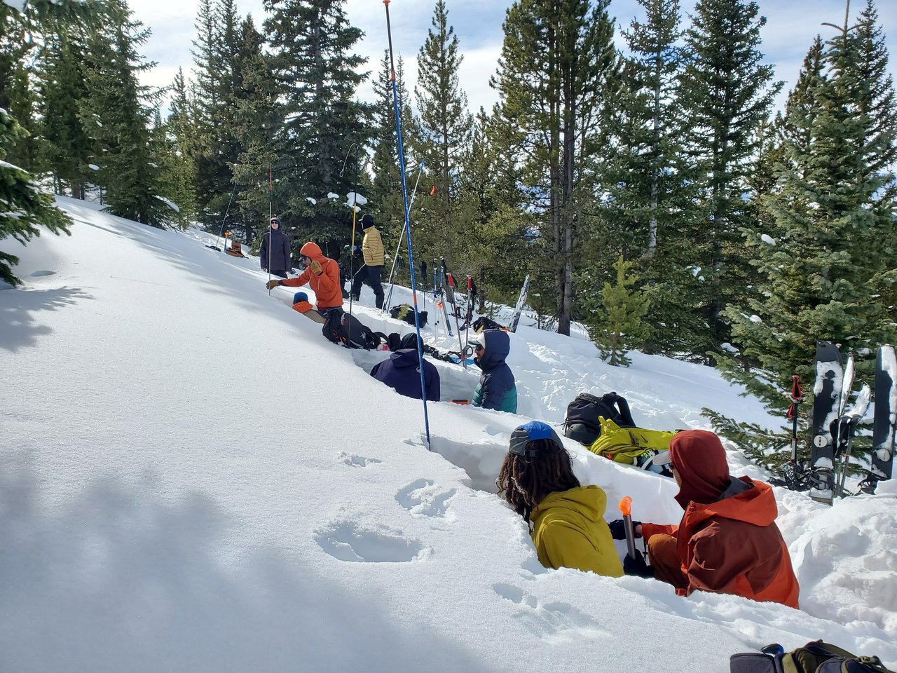 Activity preview