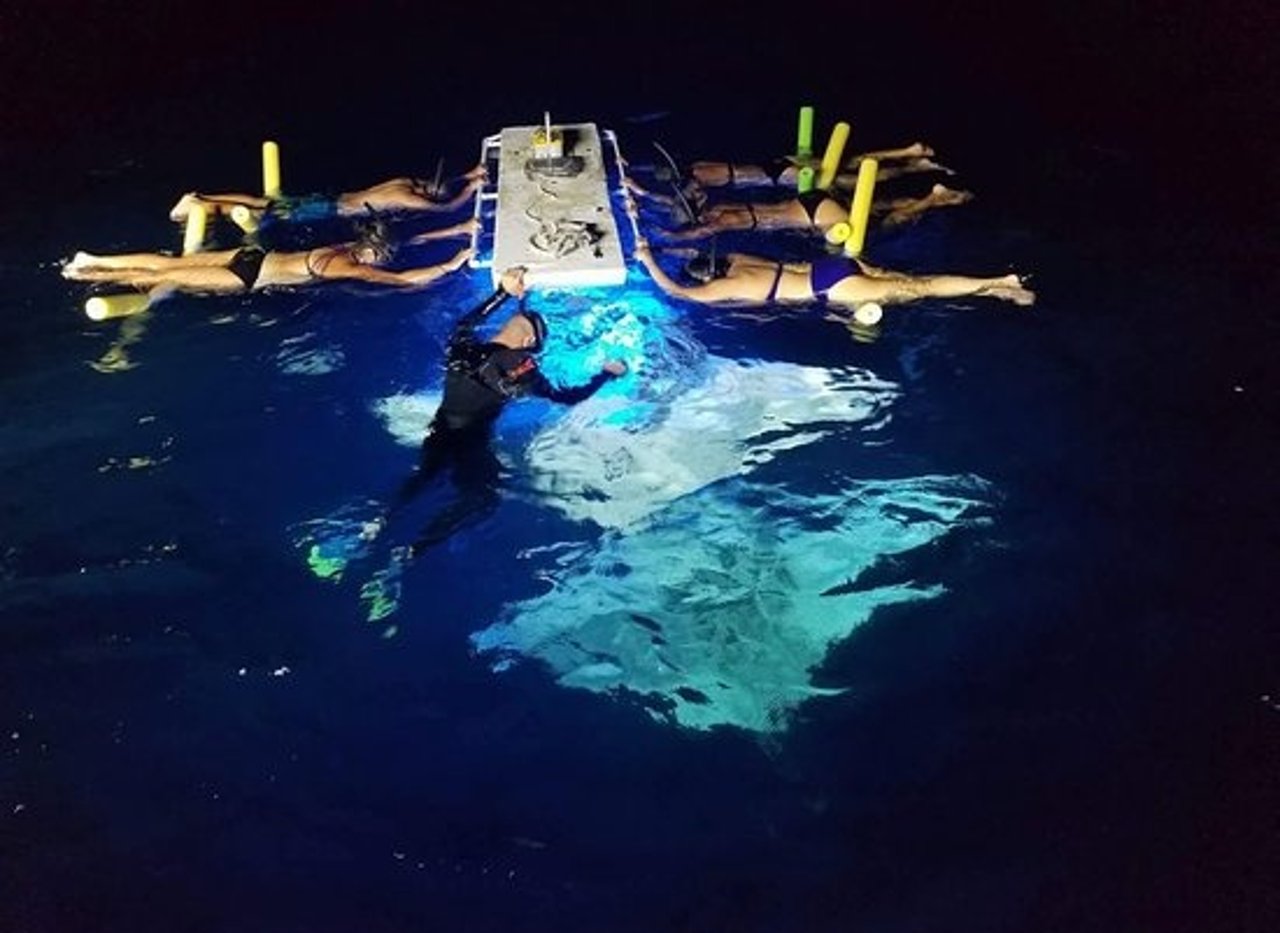 Activity preview