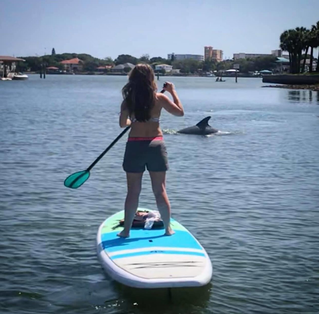 Activity preview