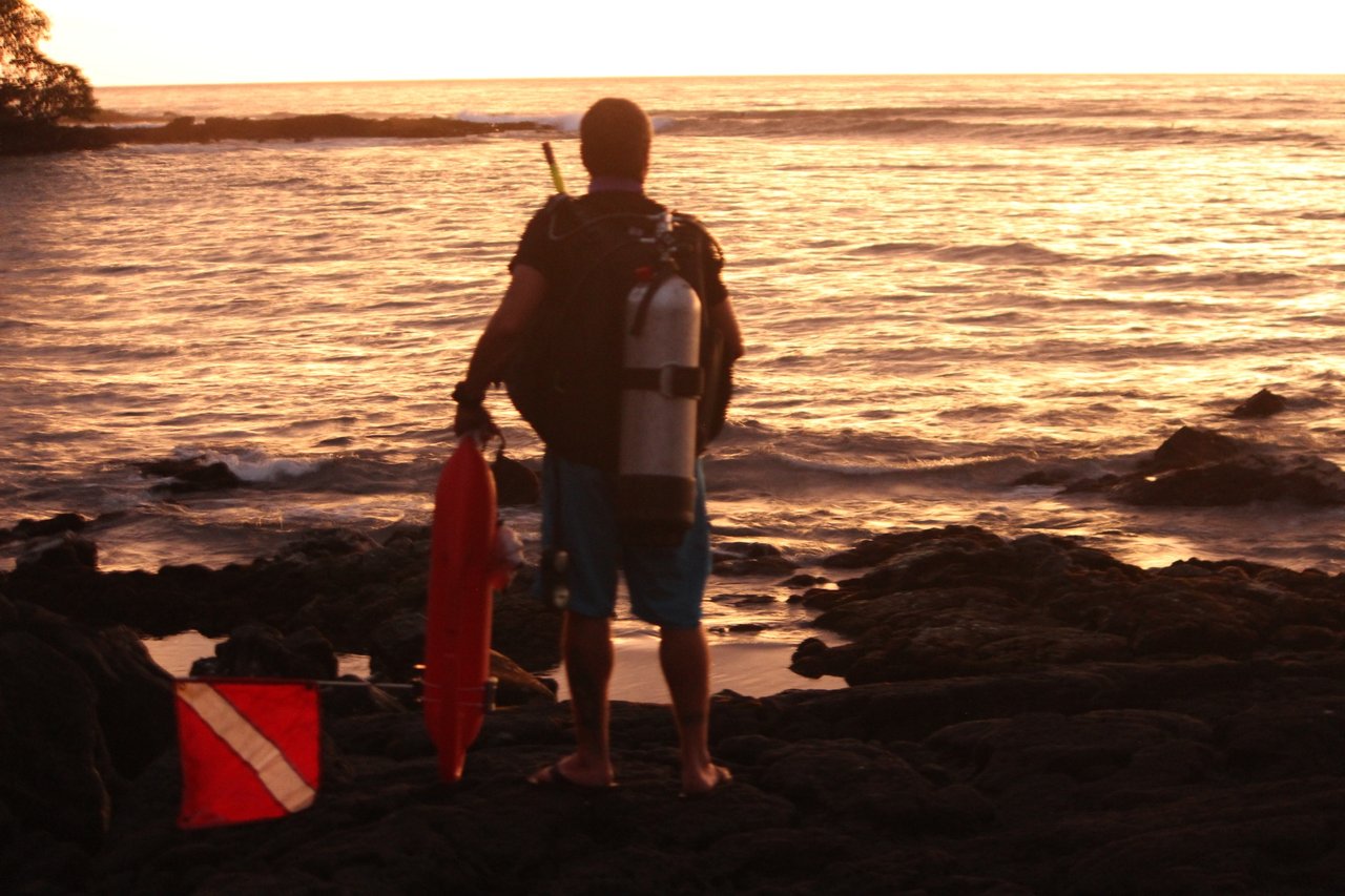 Activity preview