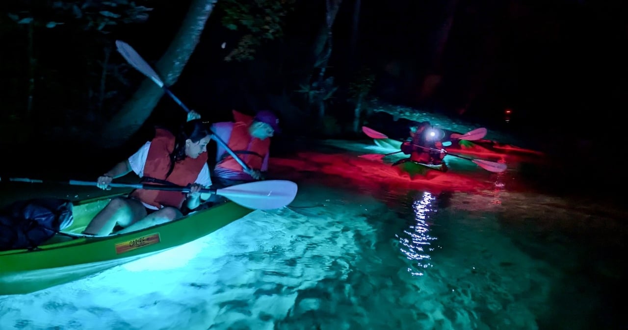 Activity preview