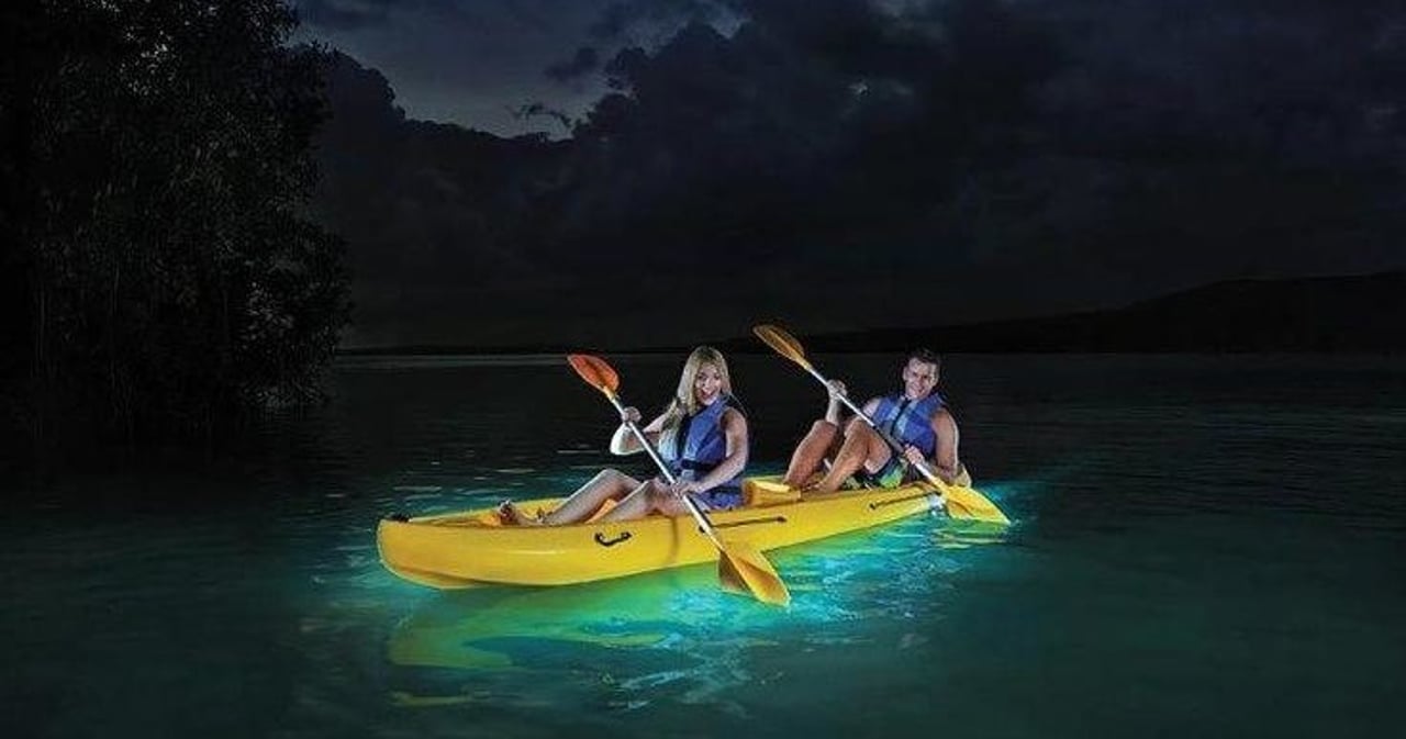 bioluminescence kayaking