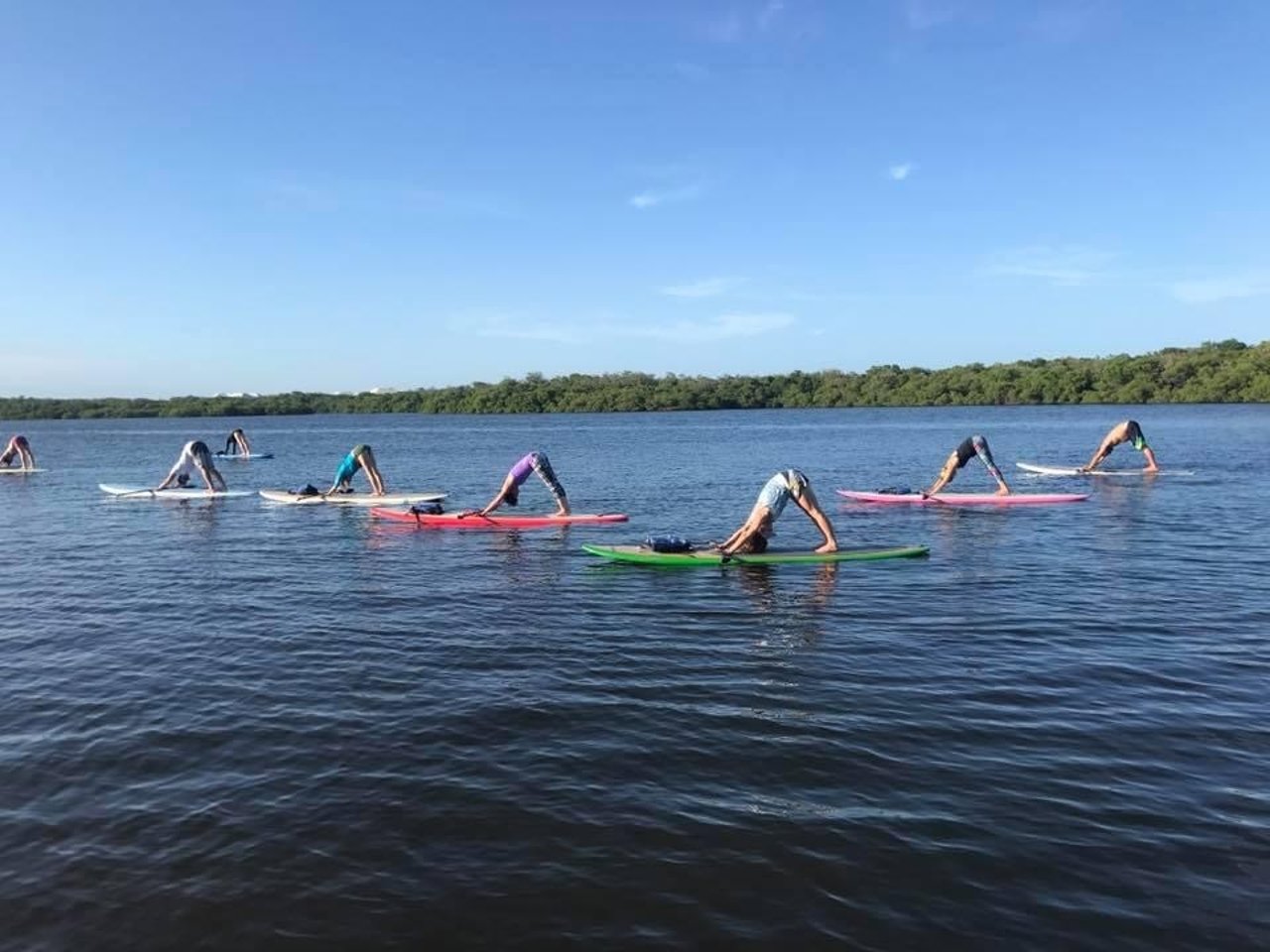 Activity preview