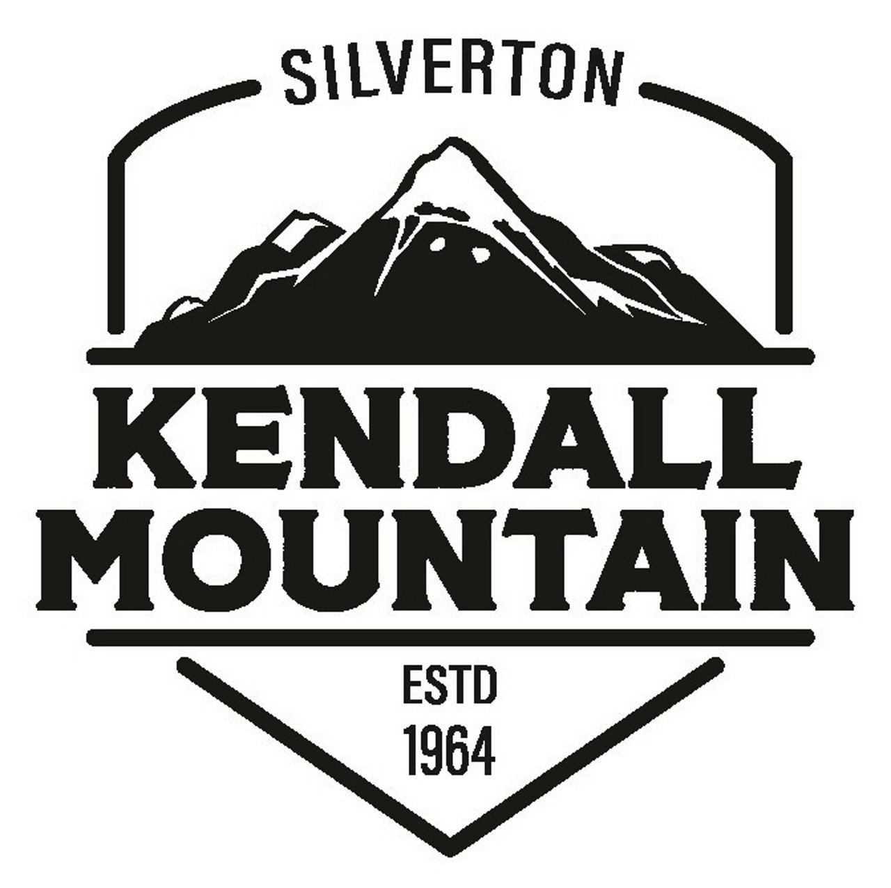 Activity preview