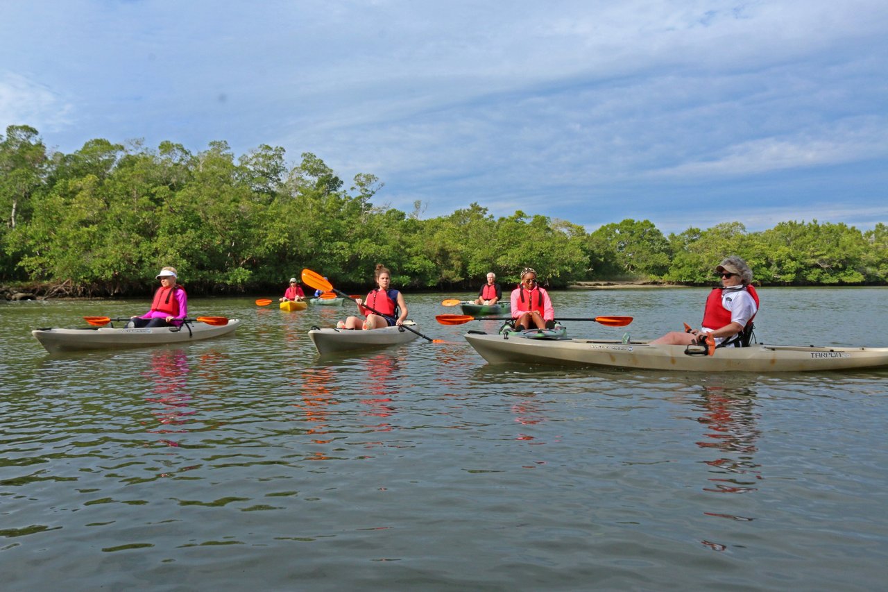 Activity preview