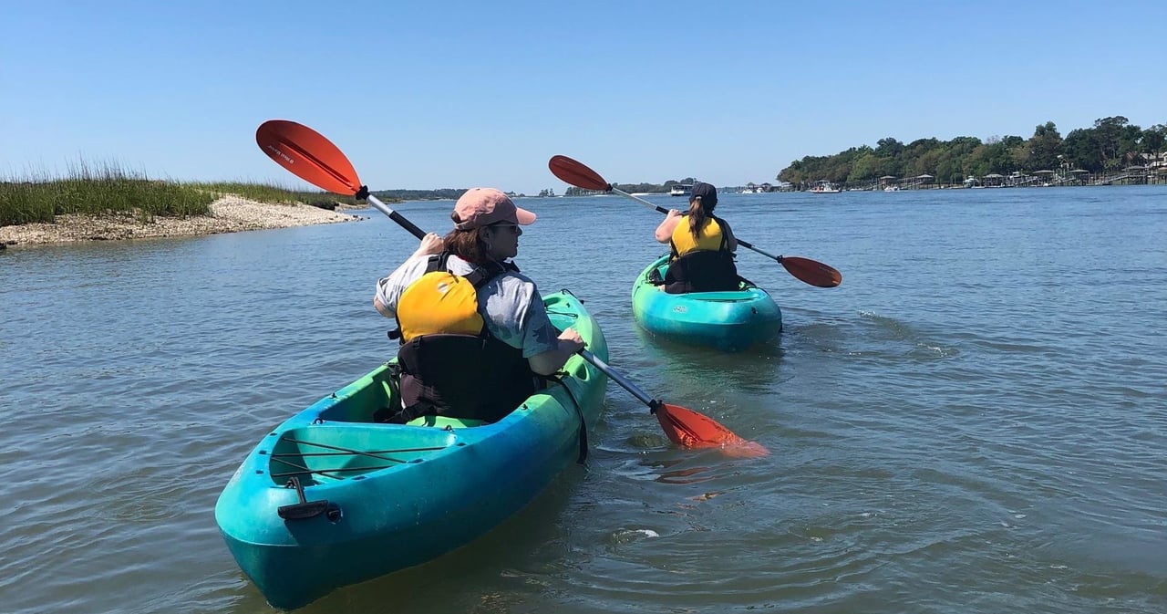 Activity preview