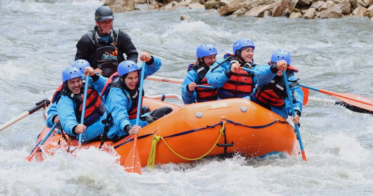 Activity preview