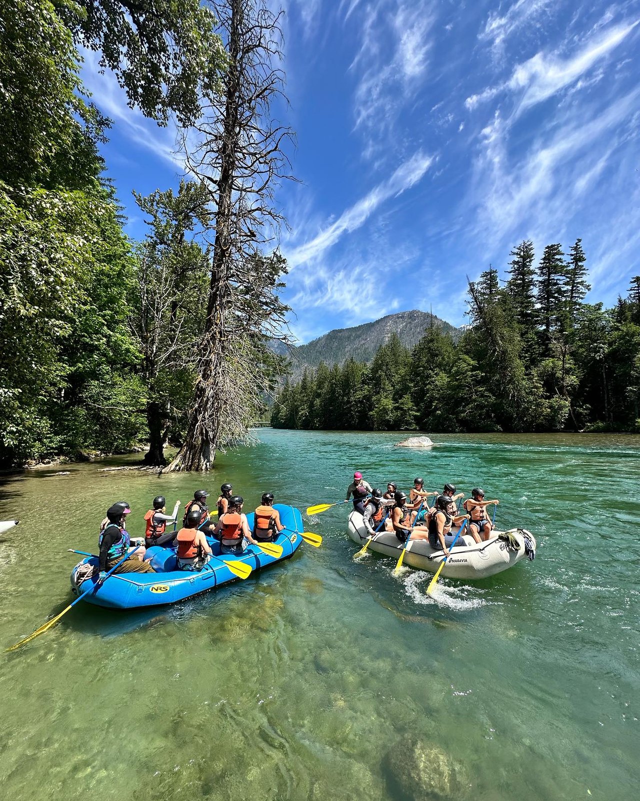 Activity preview
