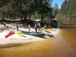 Kayaking and Canoeing with Dogs: The Ultimate Guide - NorthShore Watersports