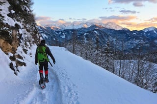 Guided Snowshoe Tour: Half-Day