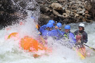 Activity preview