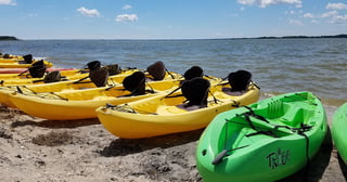 Kayaks, Canoes, SUPs