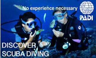 PADI Discover Scuba Diving