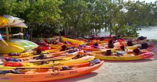 Activity preview