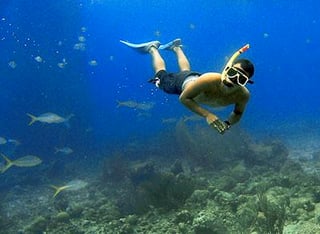 Check out these five crystal clear spots to snorkel in Lake Tahoe