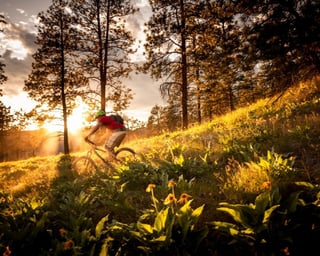 Beaver creek mountain biking sales