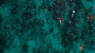 Activity preview