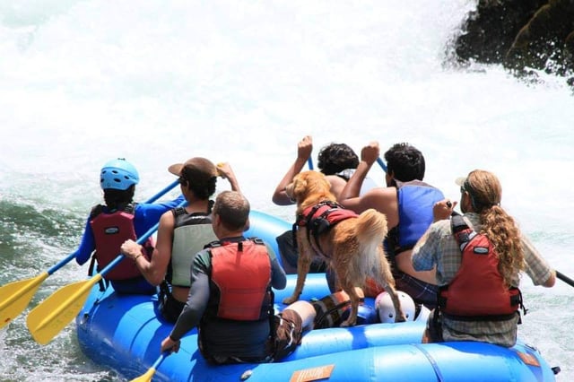 Activity preview