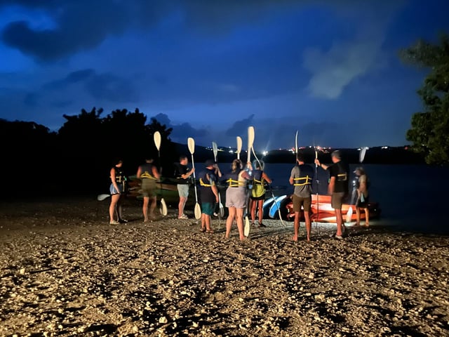 Activity preview