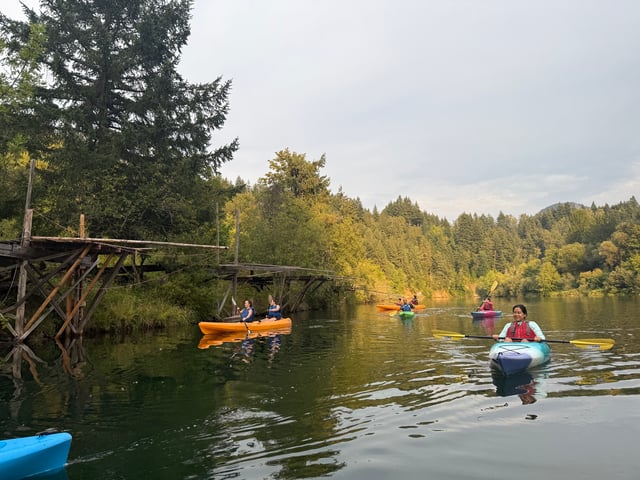 Activity preview