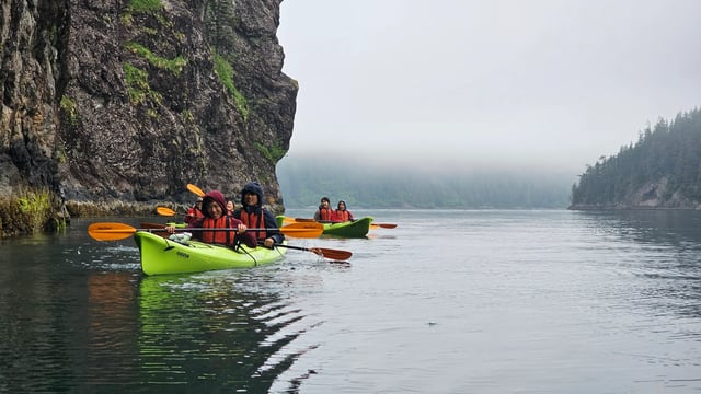 Activity preview