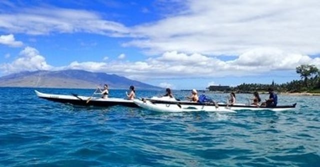 Activity preview
