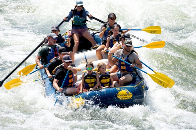Activity preview
