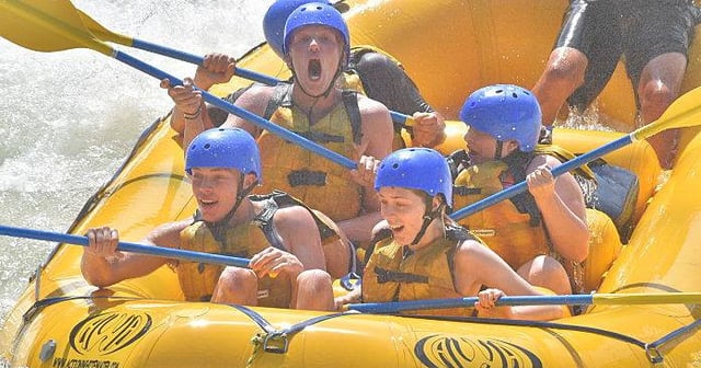 Activity preview