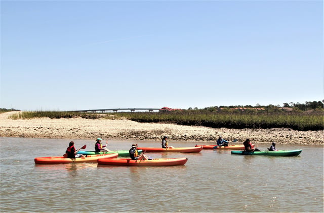 Activity preview