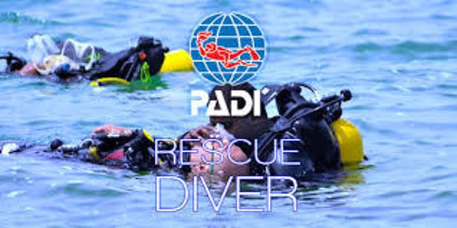 Activity preview
