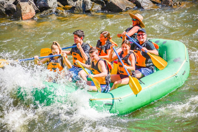 Activity preview