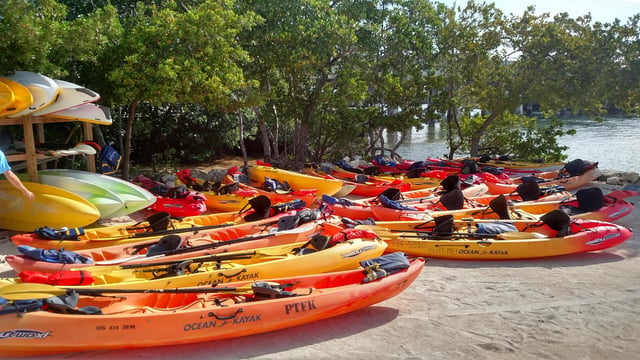 Activity preview