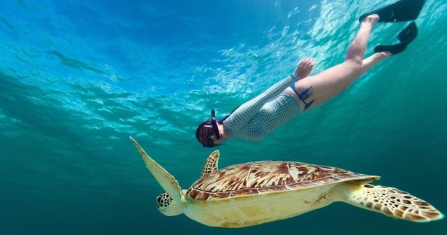 honolulu snorkeling