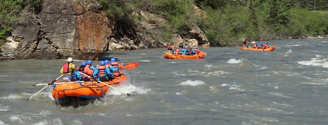 Activity preview