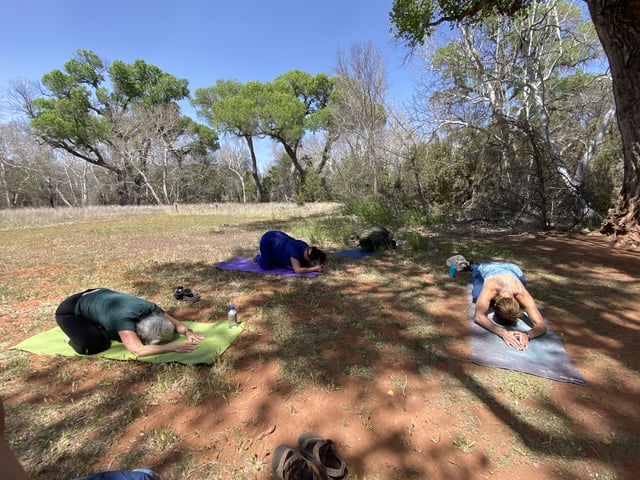 Activity preview