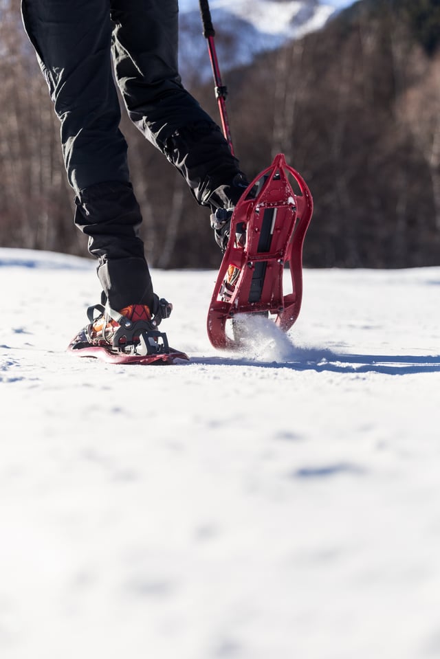Activity preview