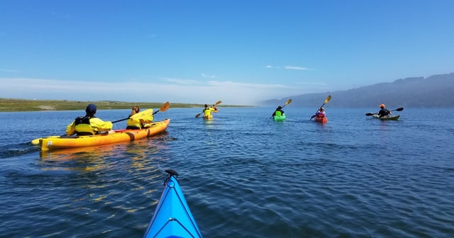 Activity preview