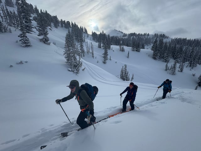 Activity preview