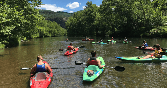 Activity preview