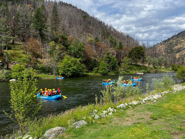 Activity preview