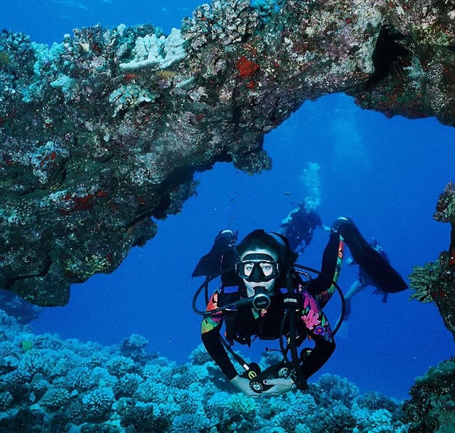 Activity preview