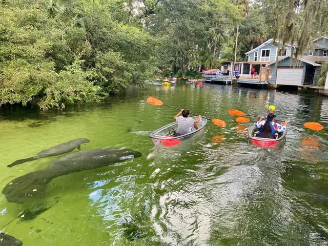 Activity preview