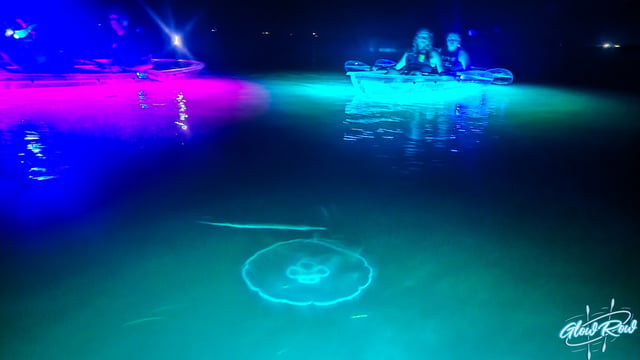 Activity preview