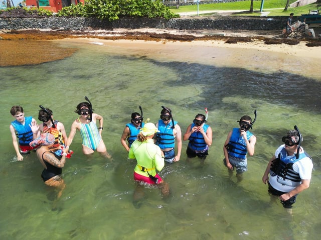 Activity preview