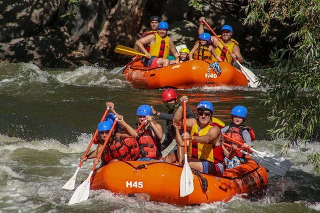 Activity preview
