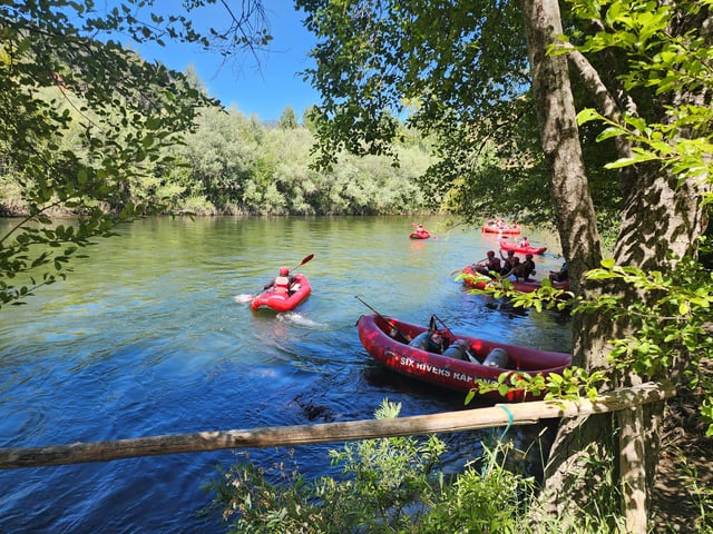 Activity preview