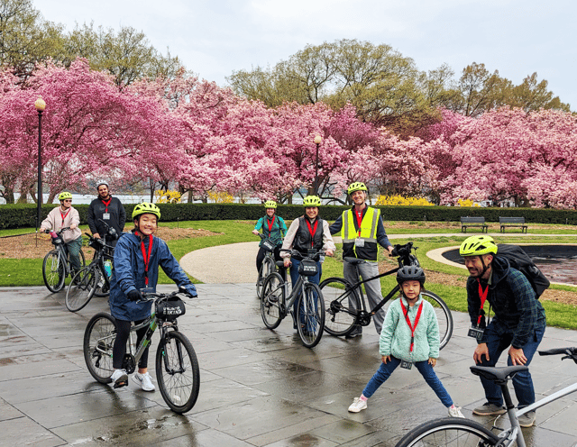 Cherry Blossoms by Bike Tour