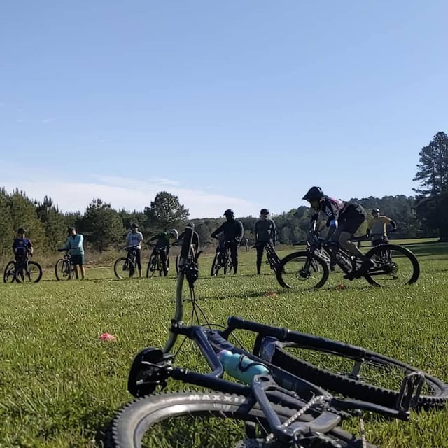 Activity preview
