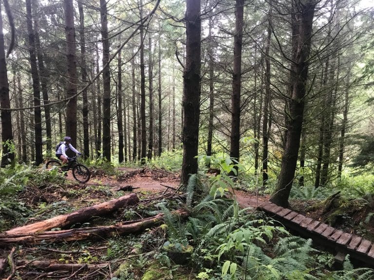 Rent mountain bike Bellingham, WA