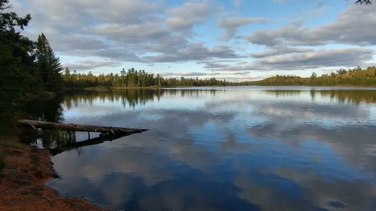 BWCA for beginners